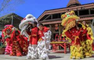 Karimun Gelar Festival Barongsai di Ujung April Aksi Barongsai di Karimun