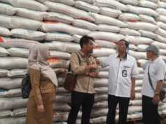 500 Ton Beras di Bulog Tanjungpinang Terancam Dimusnahkan