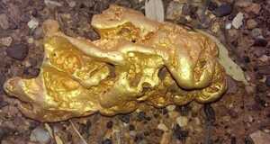 Pria Australia Temukan Bongkahan Emas Rp1 Miliar dengan Detektor Logam