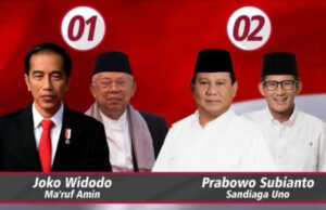 Hasil 39 PPLN: Jokowi Menang di 33 Negara, Prabowo di 5 Negara