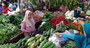 Pasokan Sulit, Harga Sayur di Tanjungpinang Melejit