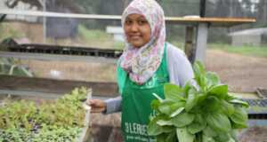 Belanja Sambil Belajar Hidroponik di Kebun 3 Leaves Farm