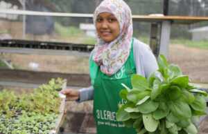 Belanja Sambil Belajar Hidroponik di Kebun 3 Leaves Farm