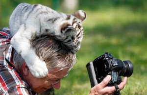 Lomba Foto Satwa IAPC, Hadiahnya Ratusan Juta Rupiah