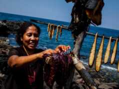 Berburu Paus, Tradisi Nelayan Lamalera di Pulau Lembata