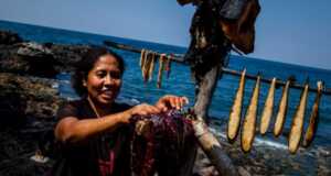 Berburu Paus, Tradisi Nelayan Lamalera di Pulau Lembata