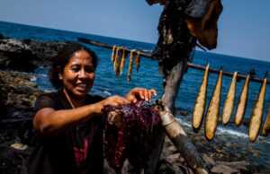 Berburu Paus, Tradisi Nelayan Lamalera di Pulau Lembata