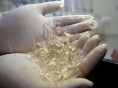 Benih Lobster Rp66 Miliar Gagal Diselundupkan ke Singapura