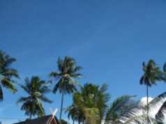 Mau Rayakan Malam Tahun Baru di Resort Bintan? Ke Brzee Beach Aja, Dijamin Penuh Kesan