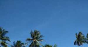 Mau Rayakan Malam Tahun Baru di Resort Bintan? Ke Brzee Beach Aja, Dijamin Penuh Kesan