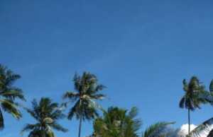 Mau Rayakan Malam Tahun Baru di Resort Bintan? Ke Brzee Beach Aja, Dijamin Penuh Kesan