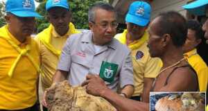 Nelayan Thailand Mendadak Jadi Milyuner, Temukan Muntahan Paus Senilai Rp4,4 Miliar