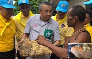 Nelayan Thailand Mendadak Jadi Milyuner, Temukan Muntahan Paus Senilai Rp4,4 Miliar