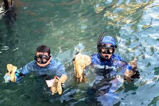 Sumpah Pemuda, Belasan Penyelam Bersihkan Laut Belakangpadang dari Sampah Plastik