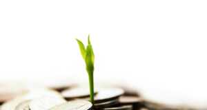 Reksadana Pasar Uang dengan Kinerja Terbaik Cepat Kaya