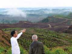 Calon Ibu Kota Baru Disebut Berisiko Tsunami 15 Meter Ibu Kota Baru