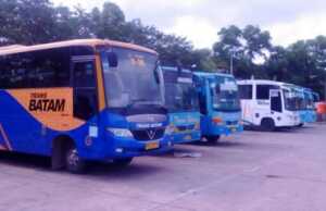 Bus Trans Batam