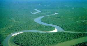 Kapal Turis Terbalik di Sungai Amazon, 18 Orang Tewas, 30 Hilang Hutan Amazon