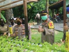 Polres Lingga Kembangkan Budidaya Lele dan Sayuran Hidroponik Polres Lingga