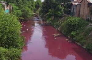 Heboh Air Parit Berwarna Pink di Tembung Medan Air Parit Pink