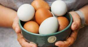 Heboh Telur Ayam Infertil di Pasar, Apa Itu, Amankah Dikonsumsi? Telur Ayam Infertil