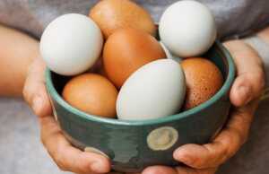 Heboh Telur Ayam Infertil di Pasar, Apa Itu, Amankah Dikonsumsi? Telur Ayam Infertil