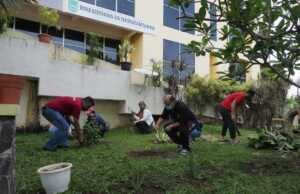 Disbudpar Hijaukan Halaman Gedung LAM dengan Tanaman Bermanfaat