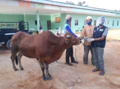 Meski Resesi Warga Singapura Tetap Kurban di Batam Warga Singapura Kurban di Batam