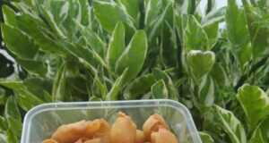 Ini Dia Cara Membuat Si Molen Mini, Camilan Enak dari Pisang Molen Mini