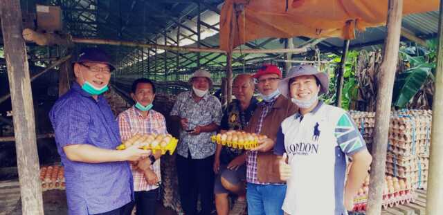 Sapuring Untuk Pakan ternak Sapuring Untuk Pakan ternak