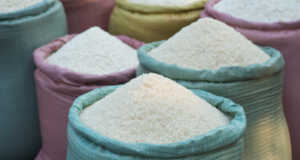 Stok Beras di Bulog Kepri Aman Sampai Lebaran 2024 Stok Beras Kepri