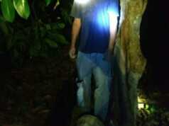 Ada yang Kenal? Warga Temukan Mayat Pria Tergantung di Hutan Duriangkang Batam Mayat Pria Batam