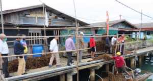 PLN Batam Angkat Ekonomi Warga Kepulauan, Salurkan 100 Keramba Apung dan 3,7 Ton Bibit Rumput Laut PLN Batam
