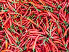 Batam Jajaki Kerjasama dengan Medan untuk Datangkan Bahan Pokok Bahan Pokok