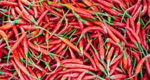 Batam Jajaki Kerjasama dengan Medan untuk Datangkan Bahan Pokok Bahan Pokok