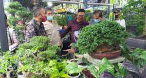 Pecinta Tanaman Hias, Yuk Mampir ke Batam Flower Festival Tanaman Hias