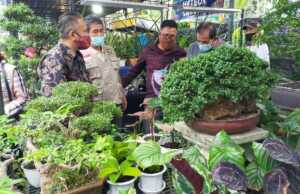 Pecinta Tanaman Hias, Yuk Mampir ke Batam Flower Festival Tanaman Hias