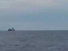 Kapal Asing Diduga Kembali Beroperasi di Laut Natuna, Apa Kabar Indonesia?