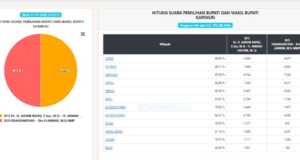 Hasil Pilkada Karimun, 14 Desember 2020: Sengit, Selisih Arah dan Bersinar Super Tipis Hasil Pilkada Karimun