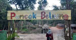 Udara Segar di Puncak Beliung Aman Dinikmati Berkat CHSE Tips Liburan Saat Pandemi