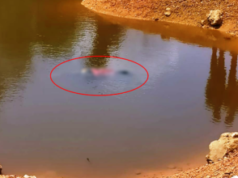 Warga Temukan Mayat Bocah di Danau Punggur Batam Mayat Bocah Batam