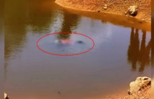 Warga Temukan Mayat Bocah di Danau Punggur Batam Mayat Bocah Batam