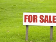 Lahan di Kepri Banyak Ditelantarkan Perusahaan Pemegang HGB Lahan di Kepri