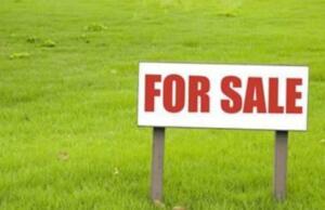 Lahan di Kepri Banyak Ditelantarkan Perusahaan Pemegang HGB Lahan di Kepri