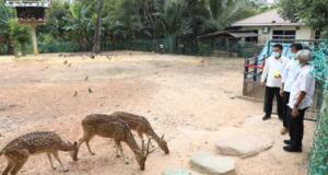 BP Batam Akan Kembangkan Mini Zoo di Taman Rusa Mini Zoo
