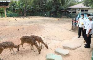 BP Batam Akan Kembangkan Mini Zoo di Taman Rusa Mini Zoo
