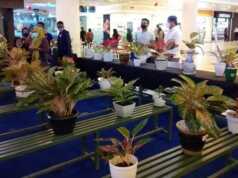 Kontes dan Pameran Tanaman Hias Diminati Warga Batam Pameran Tanaman Hias