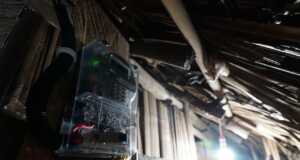 Begini Cara Dapatkan Stimulus Listrik Covid-19, Lewat Aplikasi PLN Mobile Lebih Mudah