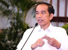 Ekonomi Hijau dan Digital, Peluang Indonesia untuk Jangka Panjang Joko Widodo