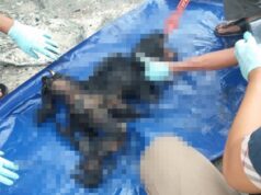 Mobil Terbakar di SPBU, Ini yang Ditemukan Polisi di TKP Mobil Terbakar di Batam